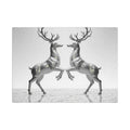 Twin Reindeer Canvas