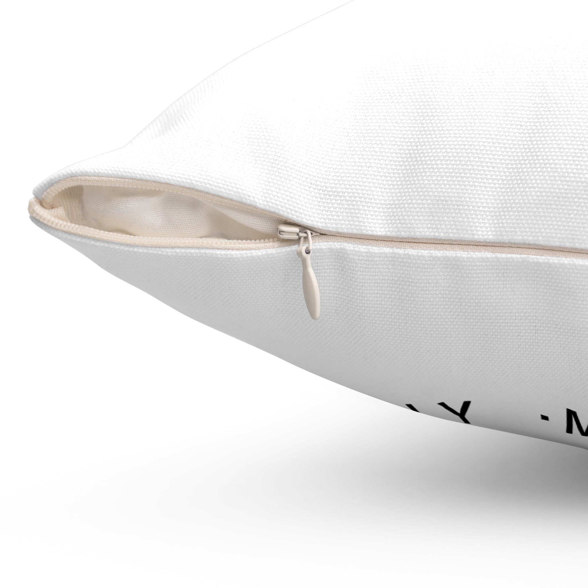WHOLENESS × WYZ Reversible Typography Cushion | Minimal Modern Decorative Pillow