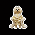 Minimal Cream & Gold Ribbon Die-Cut Sticker — Elegant Neutral Accent for Laptops, Journals & Phones